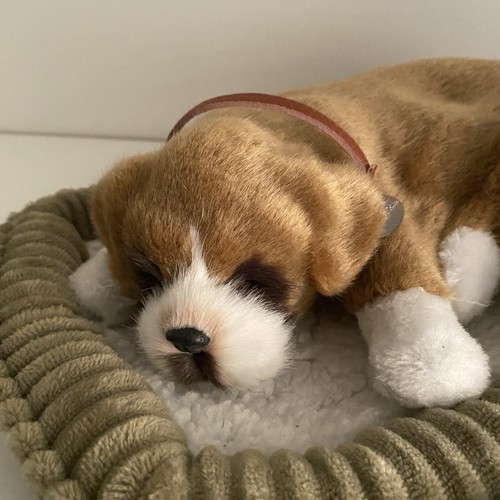 Perfect petzzz sleeping - perfect, boxer