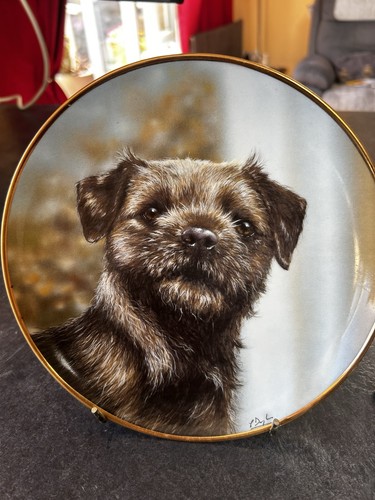 Danbury mint border terrier - danbury,