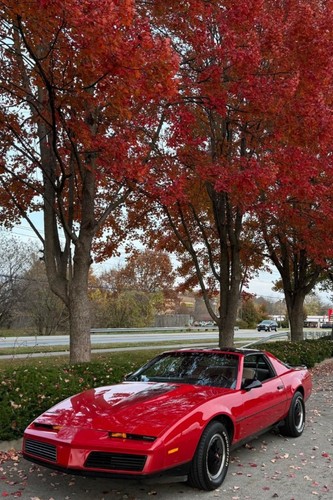 1982 pontiac firebird - trans, am