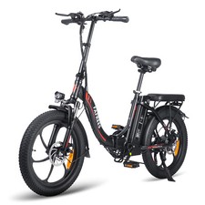FAFREES F20 Electric Bike Fat