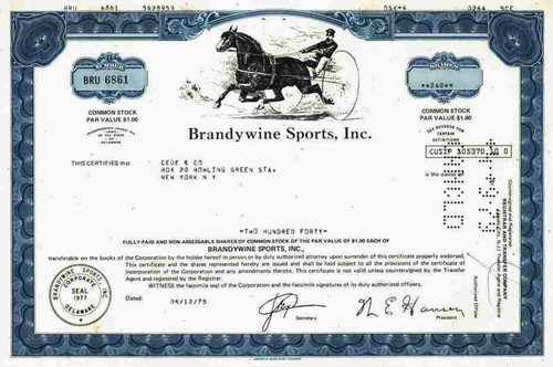 Brandywine sports inc - brandywine, 1978