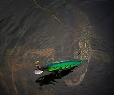 DUO REALIS JERKBAIT 120/130