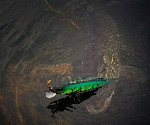 Duo realis jerkbait 120 - jerkbait, 120/130