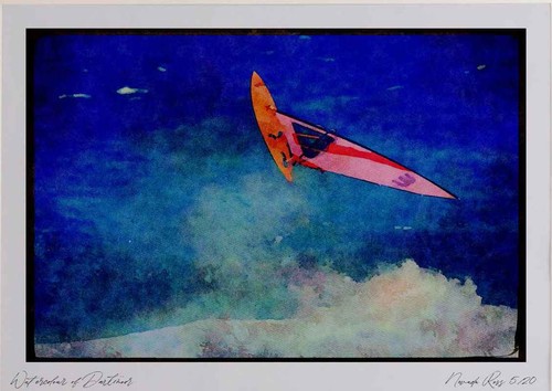 Sailing 339074 neill - o'neill, cup