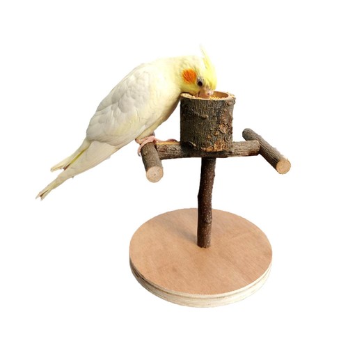 Bird training stand - training,