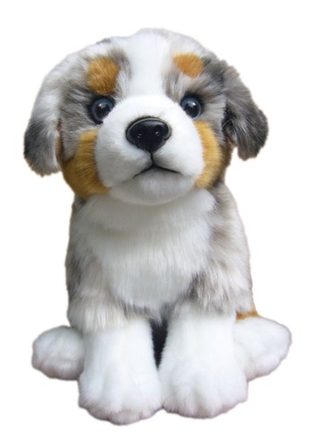 Australian shepherd teddy - 12",