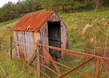 Photo A3 Corrugated Tin Shed