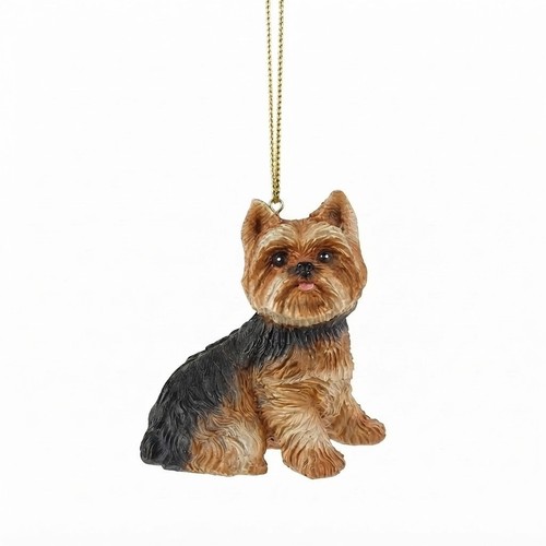 Yorkshire terrier dog yorkie - yorkshire,