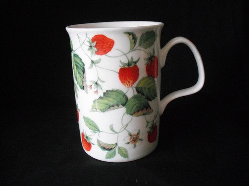 Roy kirkham alpine strawberry - kirkham,