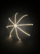Iluminated Light Up