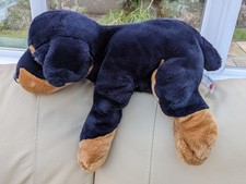 Keel doberman black Puppy Dog