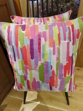 Harlequin  'Trattino' - PAIR-