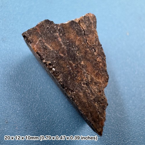 Genuine acasta gneiss - acasta,
