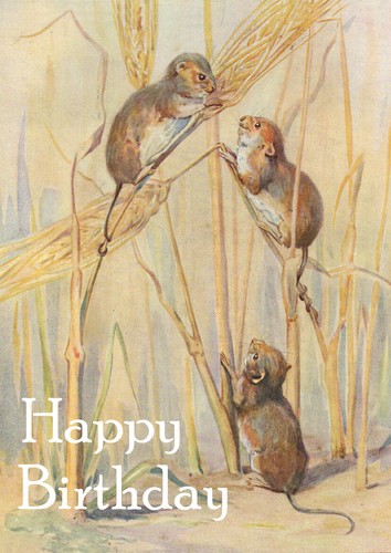 Happy birthday greetings - happy, card