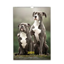 American Pit Bull Terrier