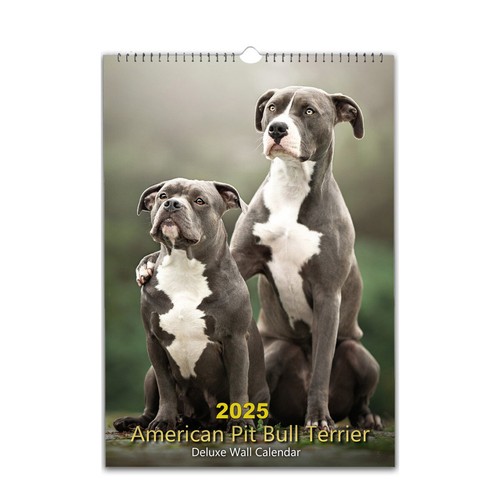 American pit bull terrier - american,