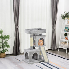 Cat Rest & Play Activity Tree