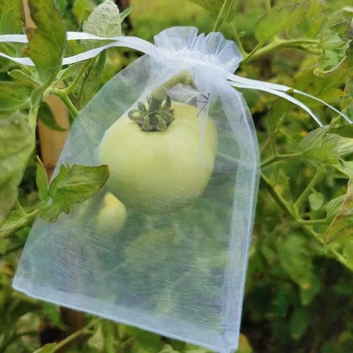 100pcs breathable grapes fruit - 100pcs,