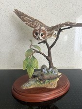Border fine Arts Birds By Russell Willis Tawny Owl A4054