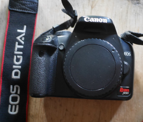 Canon eos reebl - canon,