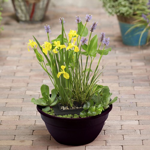 Patio pond kit complete water - pond,