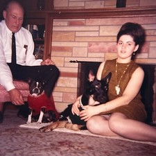 Couple with Dogs Boston