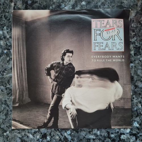 Tears for fears everybody - fears,