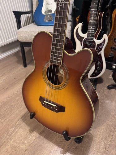 Washburn ab34 acoustic - washburn,