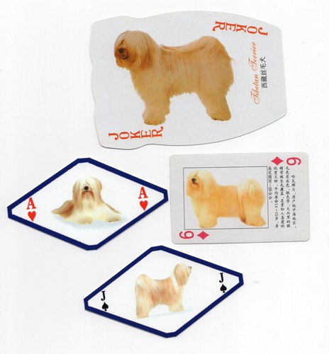 Tibetan terrier collection - tibetan,