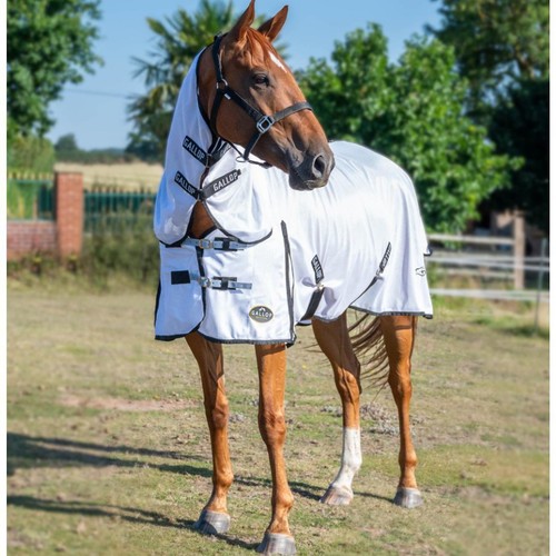 Gallop essentials mesh combo - essentials,