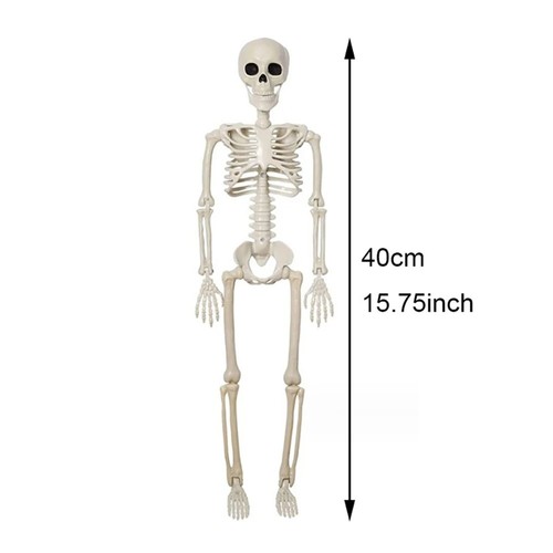 Giant life size - giant,