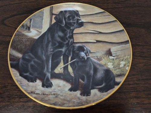 Franklin mint labrador - franklin,