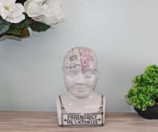 Large Crackle Phrenology Bust