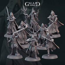 Elf Fighters Warband