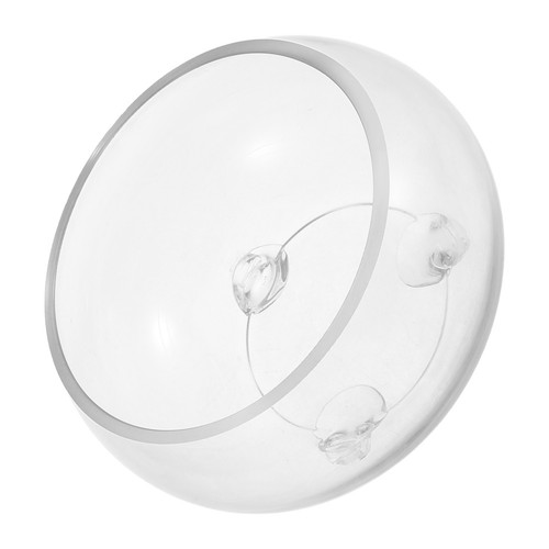 Fish bowl centerpiece - fish,