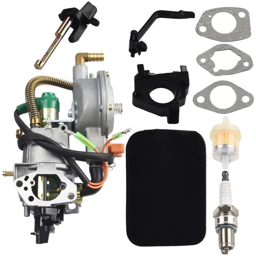 Dual fuel carburetor - fuel,