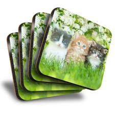 Set of 4 Square Coasters -