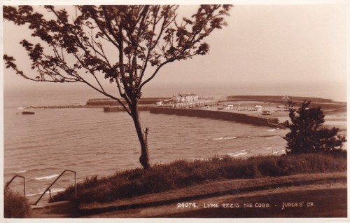 Lyme regis the cobb - regis.,
