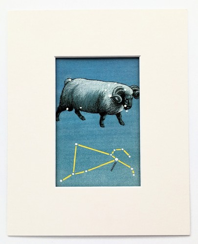 Aries the ram constellation - aries, ram-