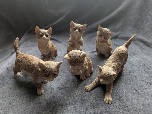 Set royal doulton cat - royal,