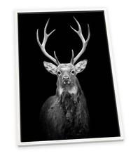 Stag Antlers Head Black CANVAS FLOATER FRAME Wall Art Picture Print