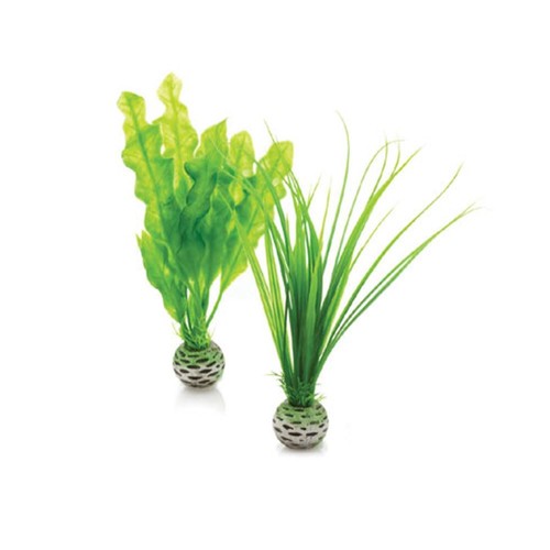 Biorb easy small - biorb, plant