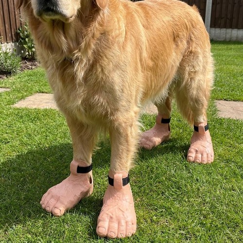 2pcs human feet - feet, dog
