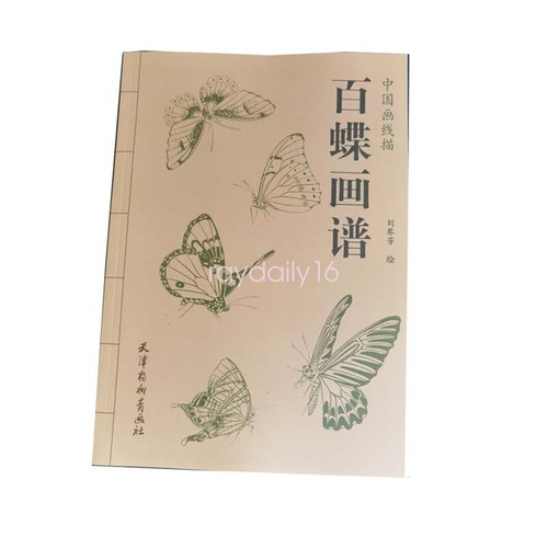 Butterfly drawing sketching - butterfly,