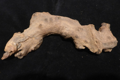Aquarium mopani wood fish tank - aquarium,