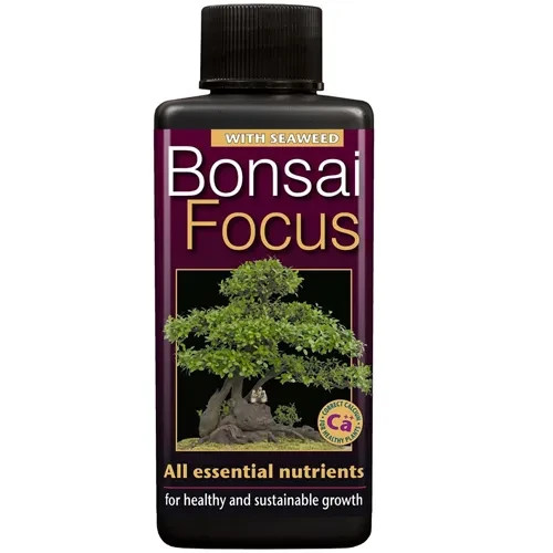 Bonsai focus fertiliser 100ml - focus,