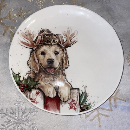 Labrador golden retriever dog