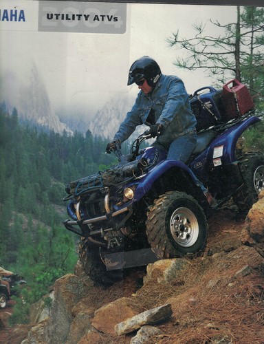 Yamaha utility atvs 2004 - yamaha, ad