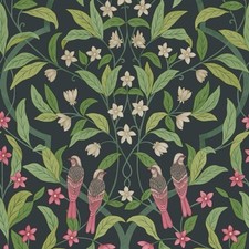 Cole & Son Jasmine and Serin Symphony Wallpaper 117/10028 RRP £168
