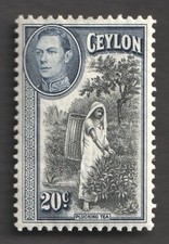 Ceylon King George VI 20c Plucking Tea 1938 Mint KGVI Stamp. SG 391. Sri Lanka